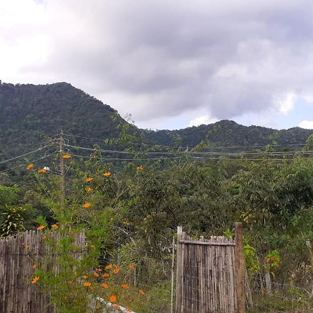 Casa Venus Villa Sao Pedro da Serra  Kültér fotó